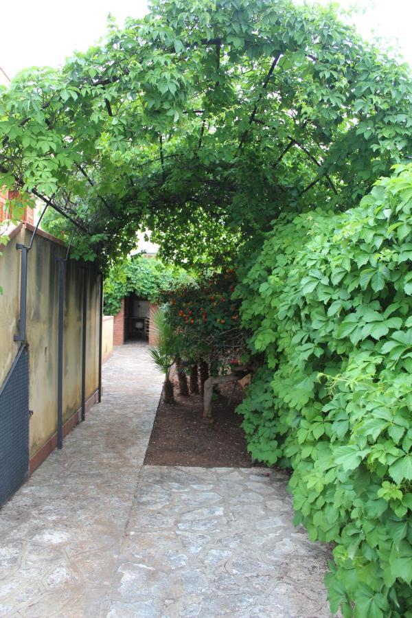 Villa Fede & Niki San Vito Lo Capo Buitenkant foto